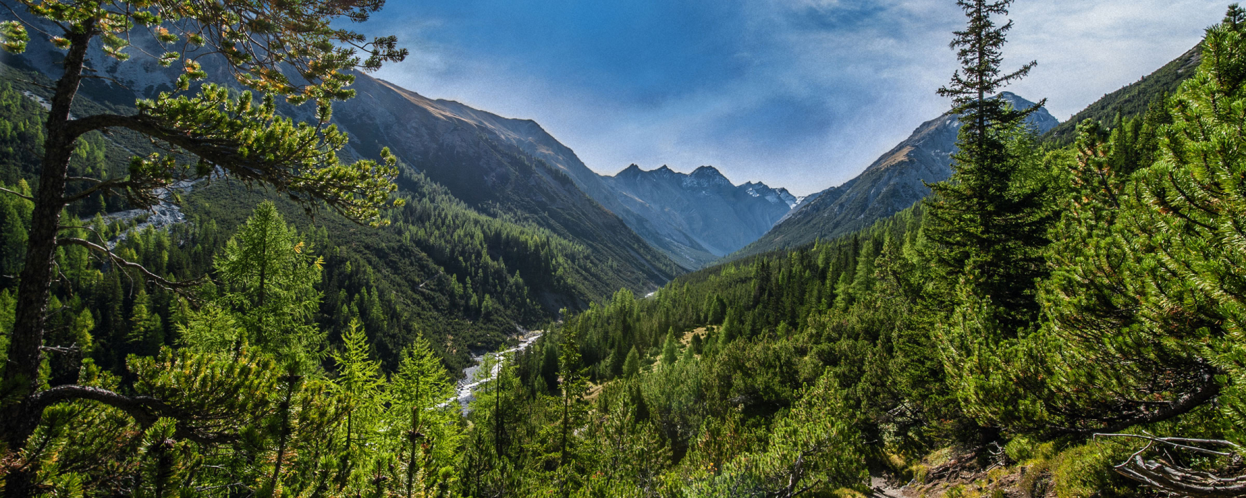 Schweizerischer Nationalpark