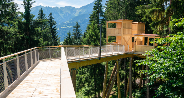 Baumwipfelpfad «Senda dil Dragun» (Foto: © Flims Laax Falera / Philipp Ruggli)