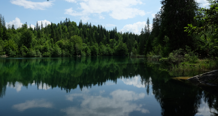 Der idyllische Crestasee (Foto: © Seraina von Planta) Ein klarer Bergsee, umgeben von Wäldern, spiegelt den Himmel