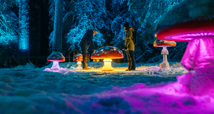 Leuchtende Pilzfiguren erhellen den verschneiten Wald des Zauberwalds Lenzerheide bei Nacht
