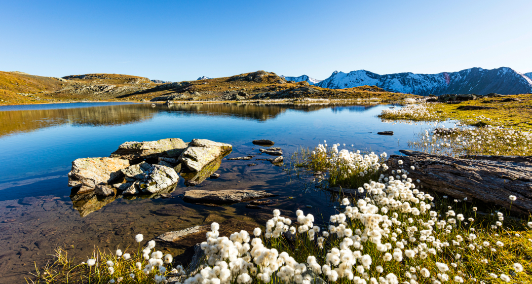 Flüeseen (Foto: © demateo AG) Flüeseen