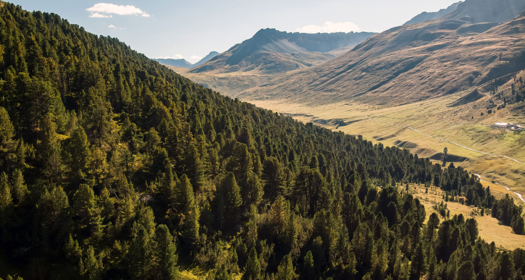 God da Tamangur (Foto: © GRF, Marco Hartmann) God da Tamangur