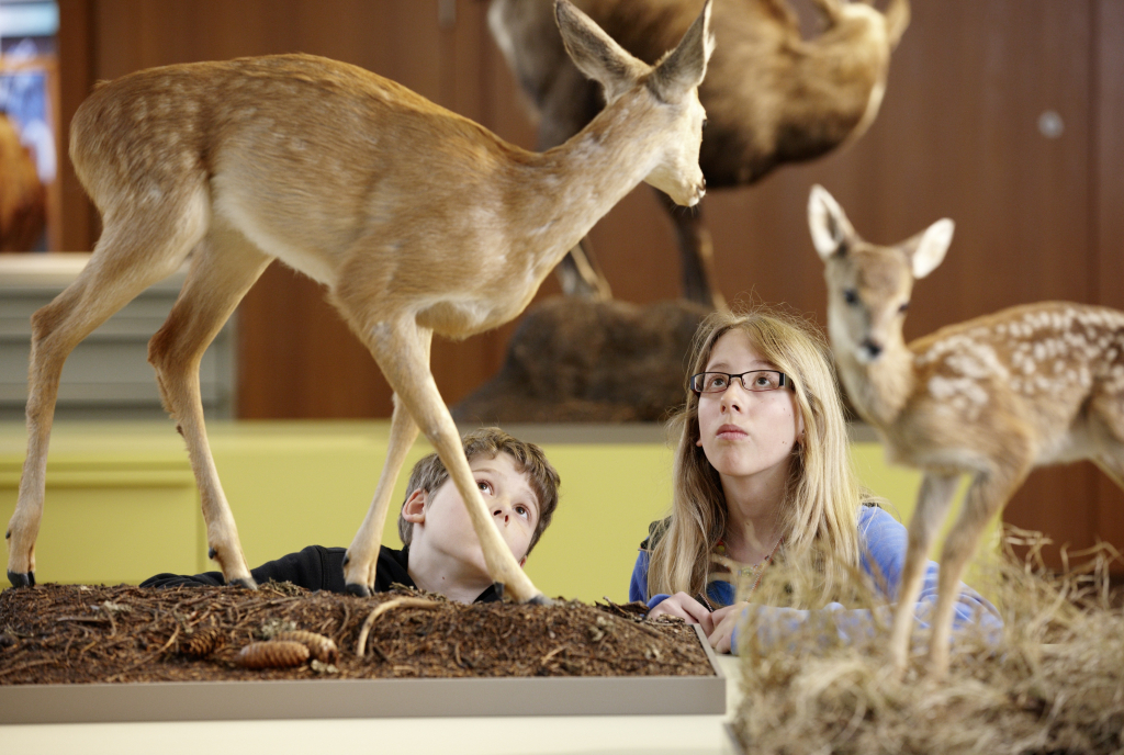 Naturmuseum Chur