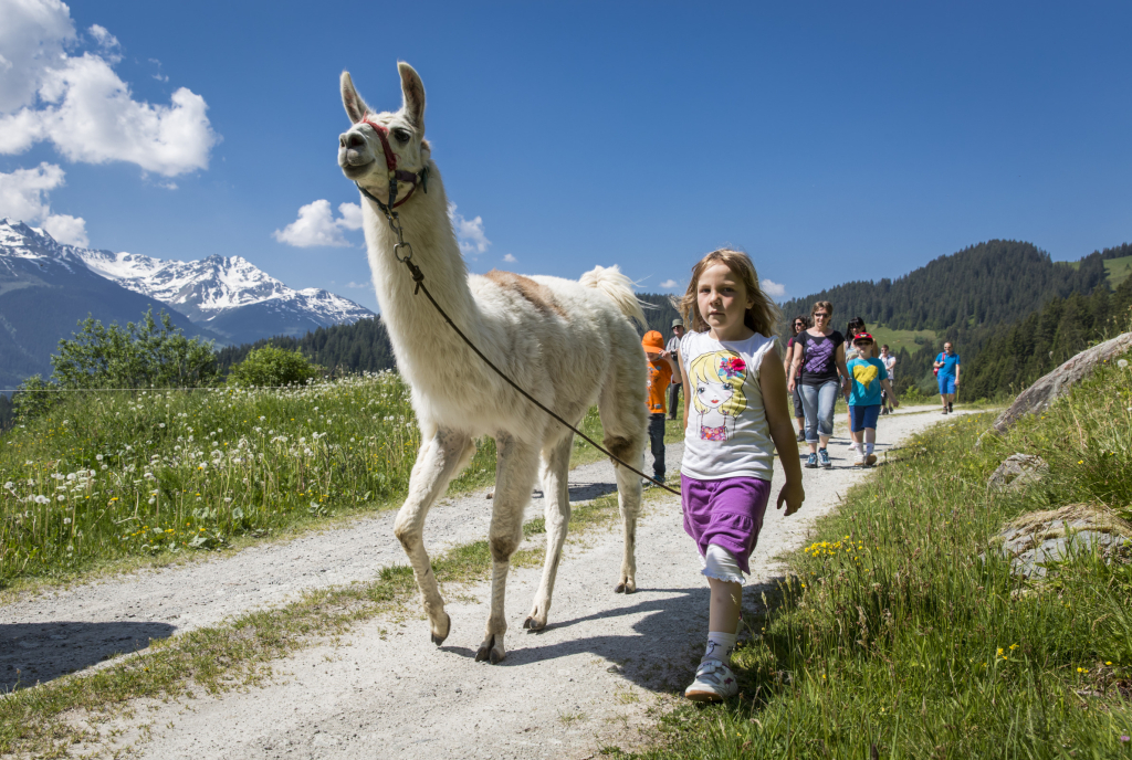 Kind beim Lamatrekking in der Surselva