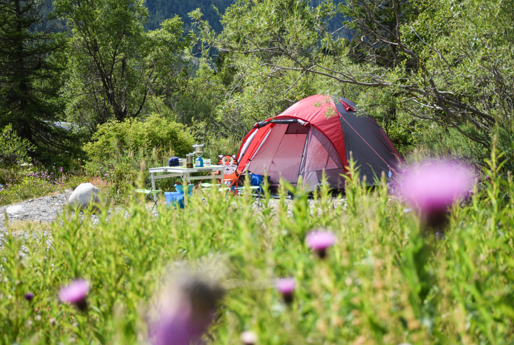 Campingspot im Camping Morteratsch (Foto: © Travel Sisi)