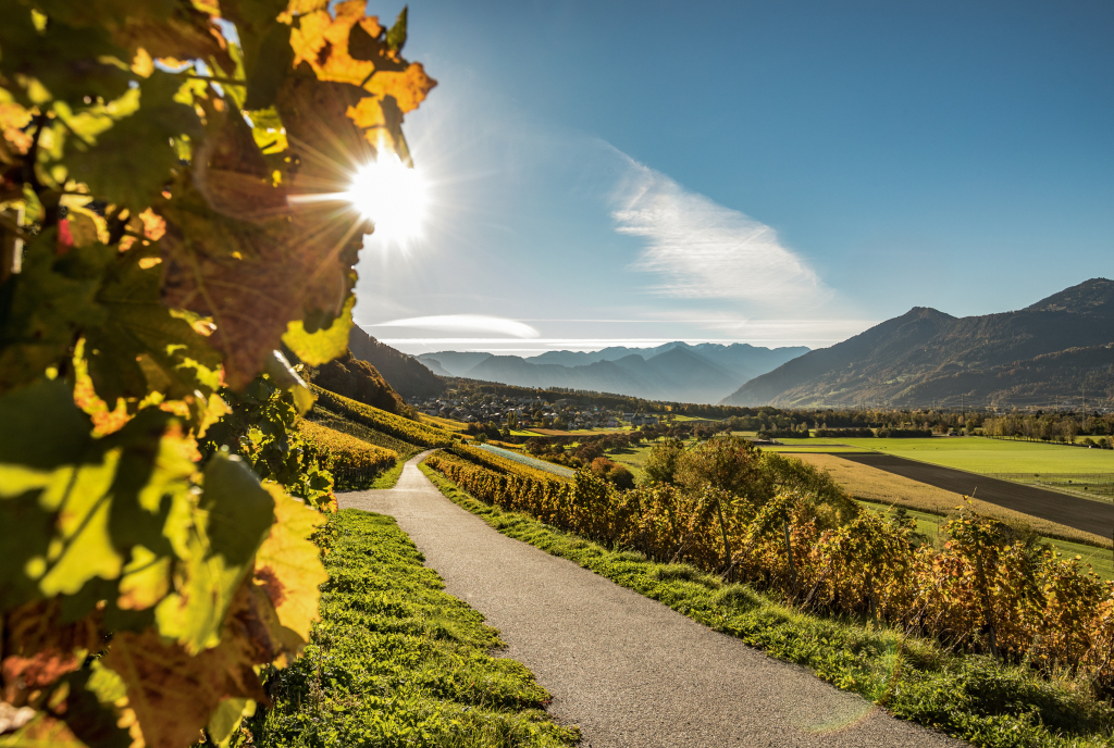 Fläsch in der Weinregion Bündner Herrschaft