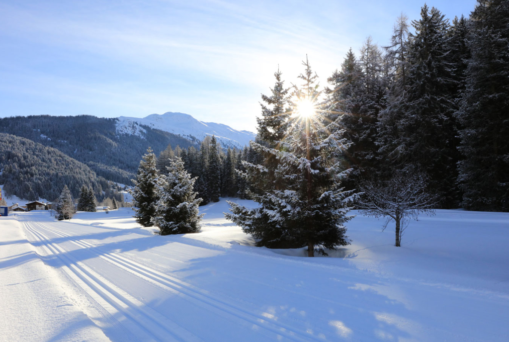 Langlaufen in Davos Klosters