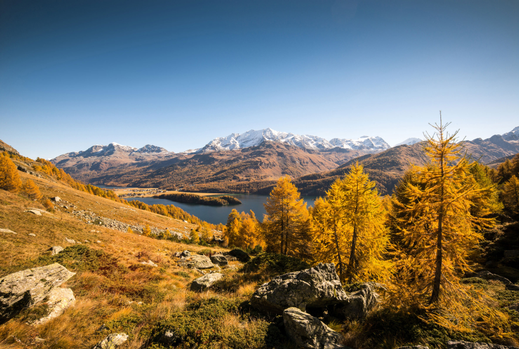 Silsersee im Herbst (Bild: swiss-image / Markus Aebischer)