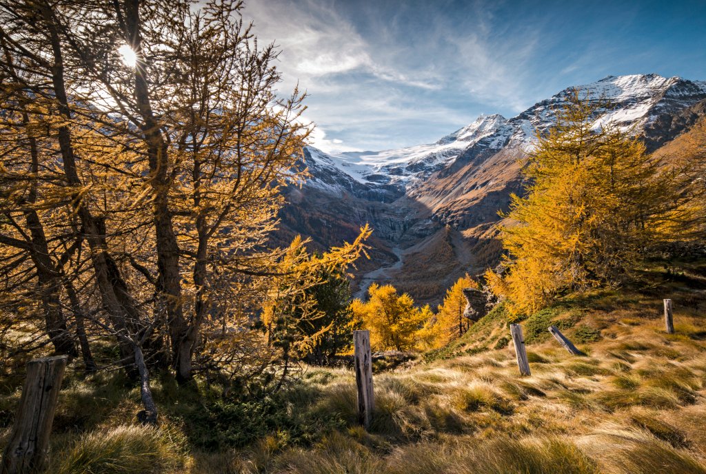 Alp Grüm im Herbst