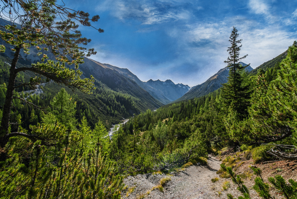 Schweizerischer Nationalpark
