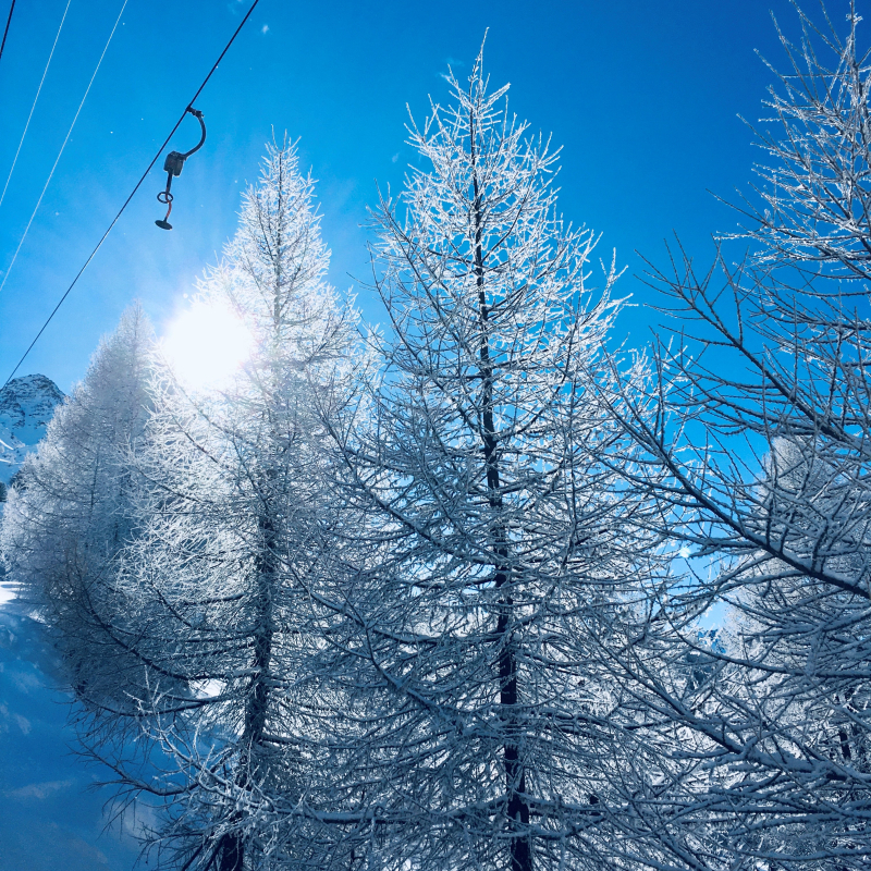 Bügellift, Skigebiet Aela, Maloja