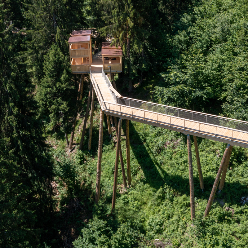Baumwipfelpfad «Senda dil Dragun» (Foto: © Flims Laax Falera / Philipp Ruggli)