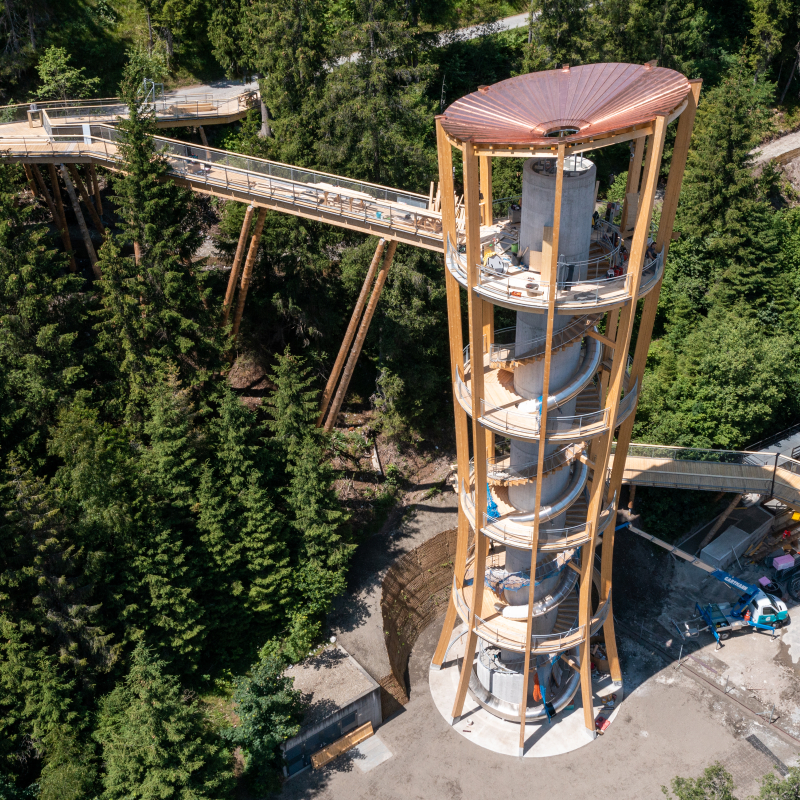 Baumwipfelpfad «Senda dil Dragun» (Foto: © Flims Laax Falera / Philipp Ruggli)