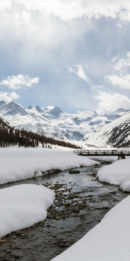 Von Bergen und dem Roseg-Gletscher umschlossene Ebene (Foto: © Thalia Wünsche) Von Bergen und dem Roseg-Gletscher umschlossene Ebene