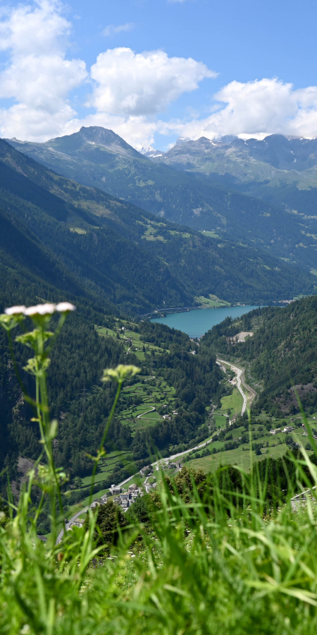 Aussicht vom Bergdorf Viano auf das Valposchiavo (Foto: © Selena Raselli) Aussicht vom Bergdorf Viano auf das Valposchiavo