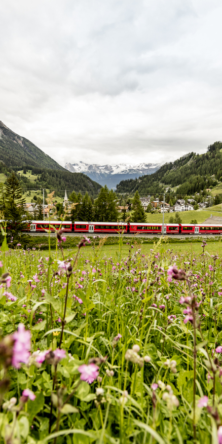 Ein Zug der Rhätischen Bahn bei Bergün