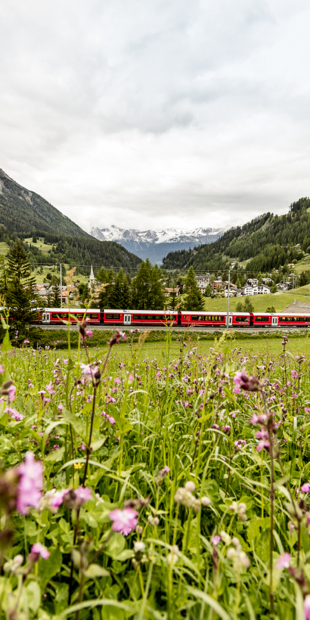 Ein Zug der Rhätischen Bahn bei Bergün (Foto: © Rhätische Bahn AG / Andrea Badrutt) Ein Zug der Rhätischen Bahn bei Bergün