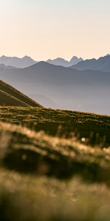 Wandergruppe unterwegs in der Region Flims Laax Falera