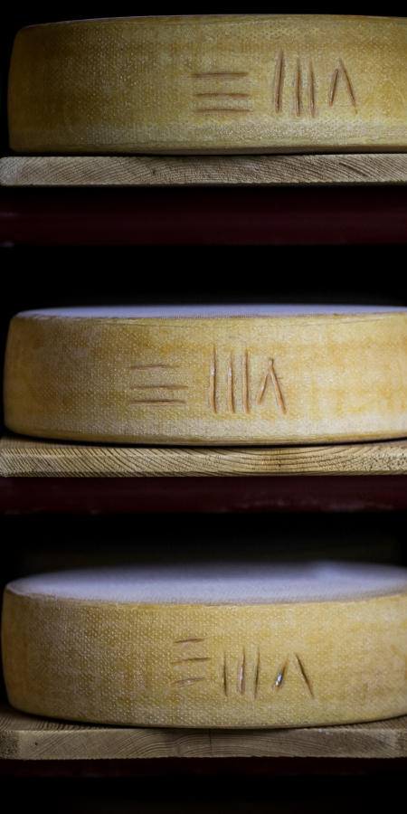 Cheese from Graubünden