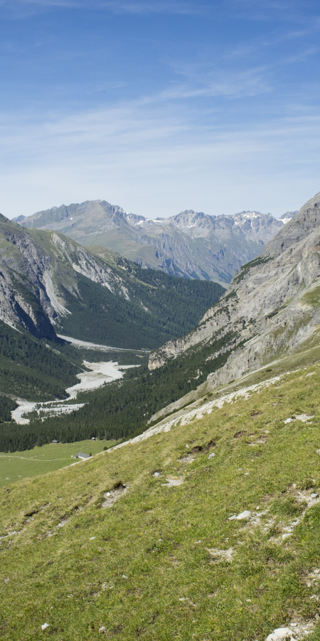 Wandern im Val Plavna (© Flurina Bertschinger) Wandern im Val Plavna (© Flurina Bertschinger)