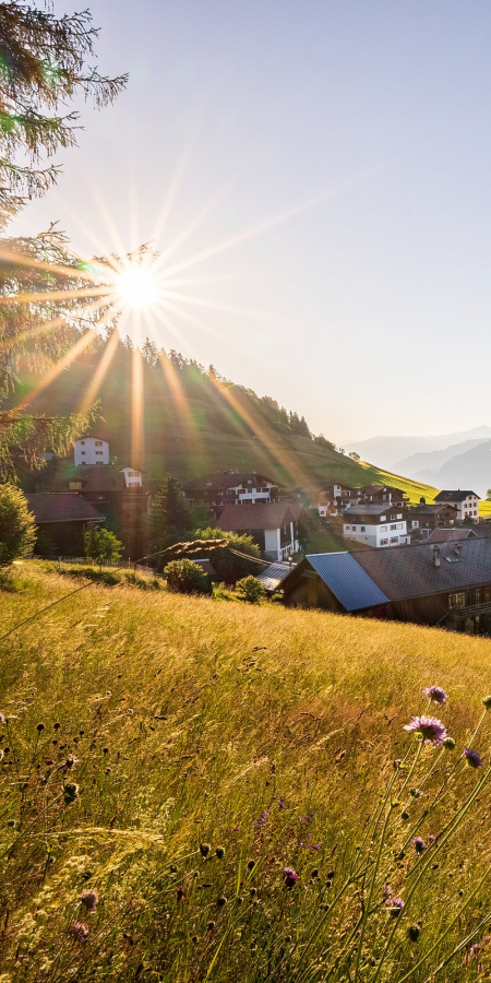 Morning light over Ladir – the charming village in the Surselva overlooking the Vorderrhein Valley (Photo: © Marco Hartmann) Summery landscape with the village of Ladir in the Surselva, backlit by the rising sun