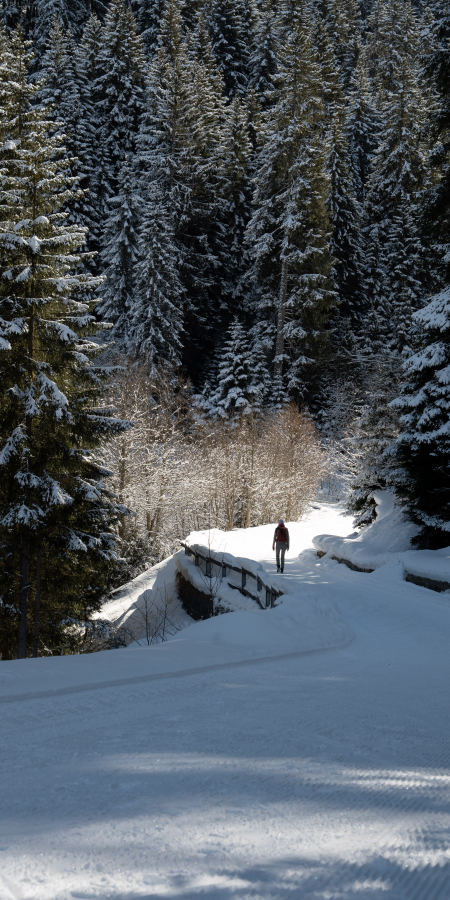 Person auf der Winterweitwanderung Via Mundaun (Foto: © GRF, Thalia Wünsche) Wanderer auf dem Schneeweg durch den Wald der Via Mundaun