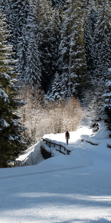Wanderer auf dem Schneeweg durch den Wald der Via Mundaun