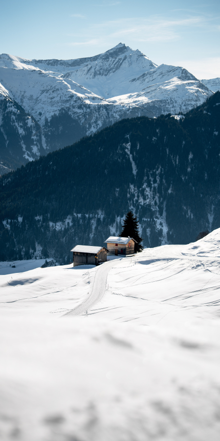 Aussicht auf ein Maiensäss auf der Via Mundaun