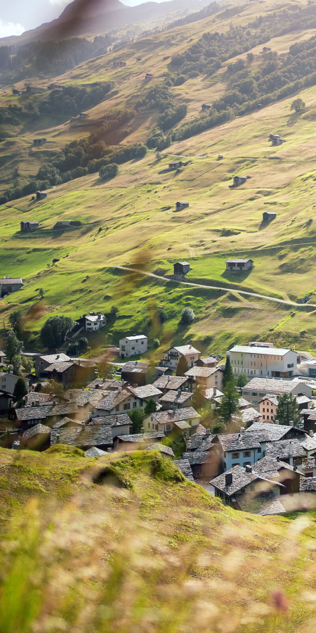 Das Bergdorf Vals mit seinen typischen Steindächern im sommerlichen Tal