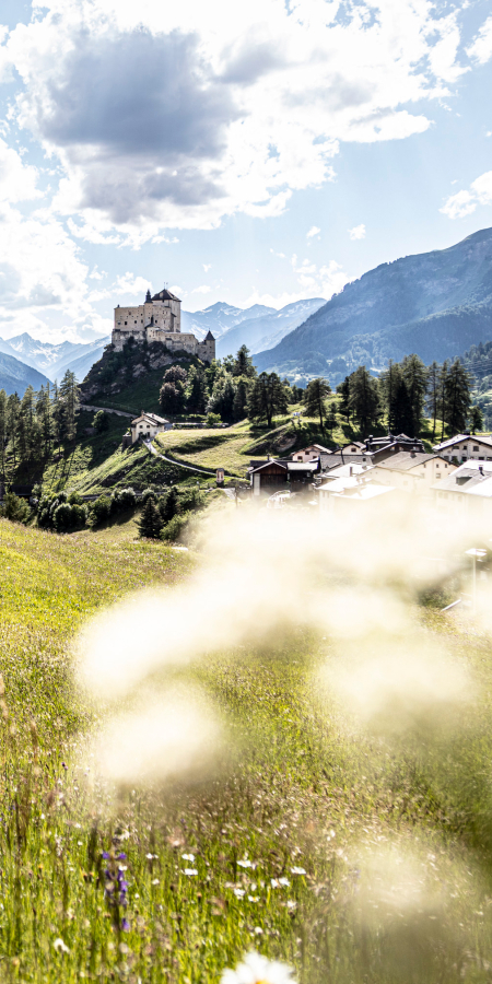 Vue sur une prairie estivale, légèrement floue au premier plan, en direction du château de Tarasp dominant une colline rocheuse escarpée dans la Basse-Engadine ensoleillée