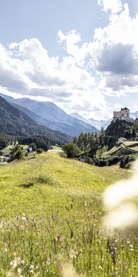 Vue sur une prairie estivale, légèrement floue au premier plan, en direction du château de Tarasp dominant une colline rocheuse escarpée dans la Basse-Engadine ensoleillée