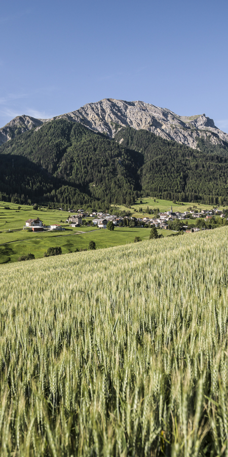 Müstair