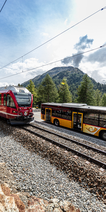 Ein Zug der Rhätischen Bahn und ein PostAuto fahren nebeneinander eine Strecke entlang
