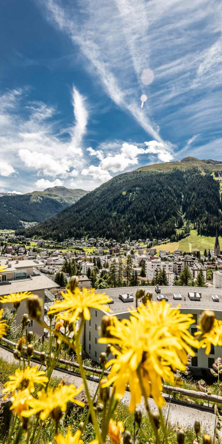 View of Davos with sunflowers in the foreground