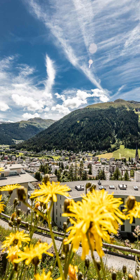 Davos (Photo: © Destination Davos Kloster / Andrea Badrutt) View of Davos with sunflowers in the foreground