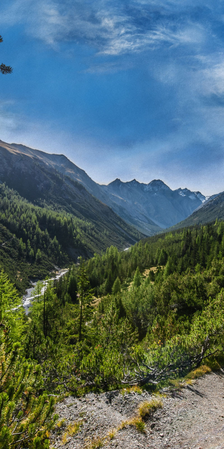 Schweizerischer Nationalpark