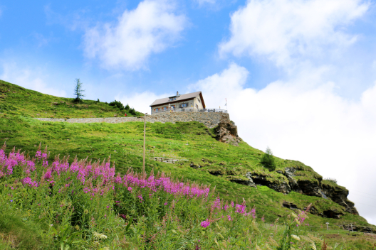 Das Restaurant Belvedere auf der Alp Grüm (Foto: © Nadja Maurer) Das Restaurant Belvedere auf der Alp Grüm (Foto: © Nadja Maurer)