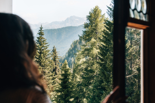 Sagenhafter Ausblick aus dem Zimmerfenster in die Natur (Foto: © Sommertage) Sagenhafter Ausblick aus dem Zimmerfenster in die Natur (Foto: © Sommertage)