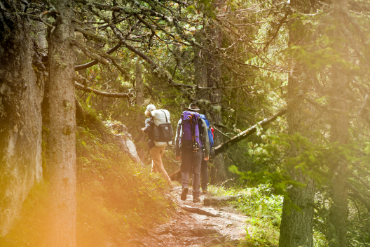 Zu Beginn geht es durch den Wald (Foto: © Caroline Fink) Zu Beginn geht es durch den Wald