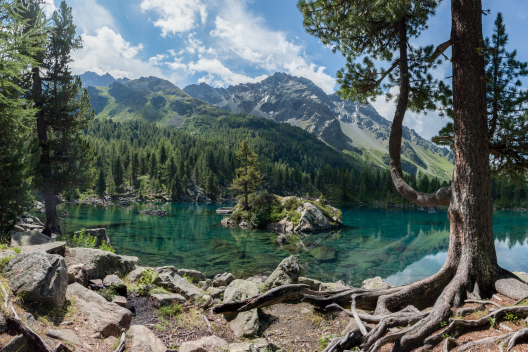Lago di Saoseo (Foto: © Heinz Staffelbach) Lago di Saoseo