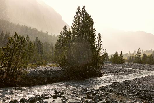 Bach im Val Mora. (Foto: © Nico Schaerer) Bach im Val Mora.