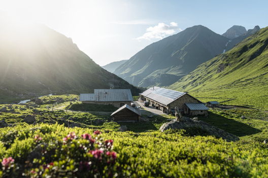 Alp d'Err im Val Surses (Foto: © Tom Malecha / Schweiz Tourismus) Die Gebäude der Alp d'Err im Abendlicht.