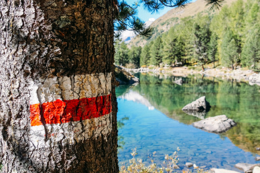 Well-marked trails around Lagh da Saoseo – a picture-perfect mountain lake (Photo: © Christiane Setz-Müller & Moritz Müller) Trail marker on tree bark on the shore of Lagh da Saoseo
