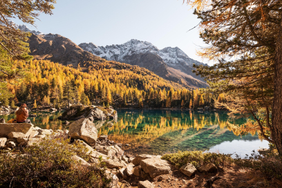 Ambiance automnale au Lagh da Saoseo dans le val Poschiavo (Photo : © Marco Hartmann) Paysage de montagne automnal au Lagh da Saoseo avec une forêt de mélèzes dorés et le reflet dans le lac clair