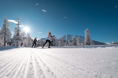 Traumhafte Loipen im Oberengadin (Foto: © Filip Zuan) Langläufer auf der Loipe durch verschneiten Winterwald im Oberengadin