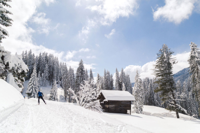 Langlaufen in Lenzerheide umgeben von verschneiten Wäldern Langlaufen in Lenzerheide umgeben von verschneiten Wäldern