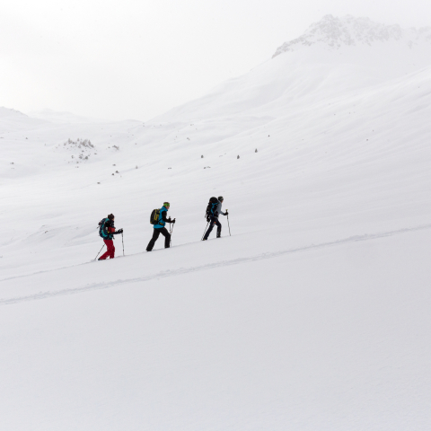 Schneeschuhläufer auf der Via Silenzi (Foto: © Thalia Wünsche, Graubünden Ferien) Schneeschuhläufer auf der Via Silenzi (Foto: © Thalia Wünsche, Graubünden Ferien)
