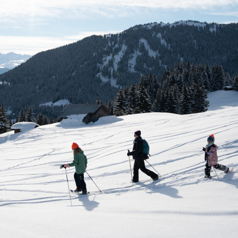 Familie Jucker am Schneeschuhwandern in Flims Laax Falera (Foto: © Andi Speck) Familie Jucker am Schneeschuhwandern in Flims Laax Falera (Foto: © Andi Speck)