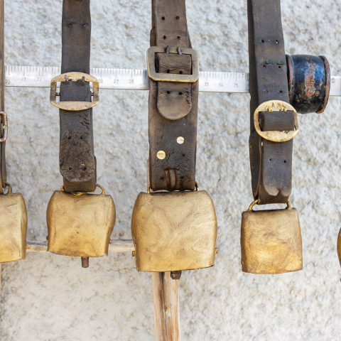 Kuhglocken, Tektonikarena Sardona (© Nico Schaerer)