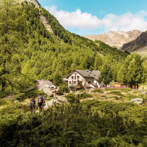 Ristoro Alpe Campo, Sfazù (Foto: © Schweiz Tourismus / Nicola Fuerer) Ristoro Alpe Campo, Sfazù (Foto: © Schweiz Tourismus / Nicola Fuerer)